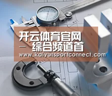 研发能力标题一