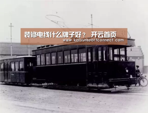 装修电线什么牌子好?_开云首页(图3) 开云首页
