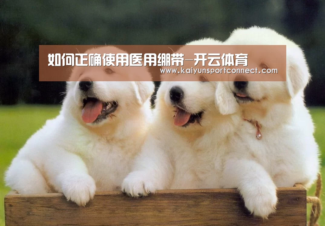 如何正确使用医用绷带-开云体育(图1) 开云品牌