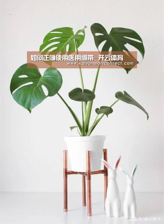 如何正确使用医用绷带-开云体育(图2) 开云体育